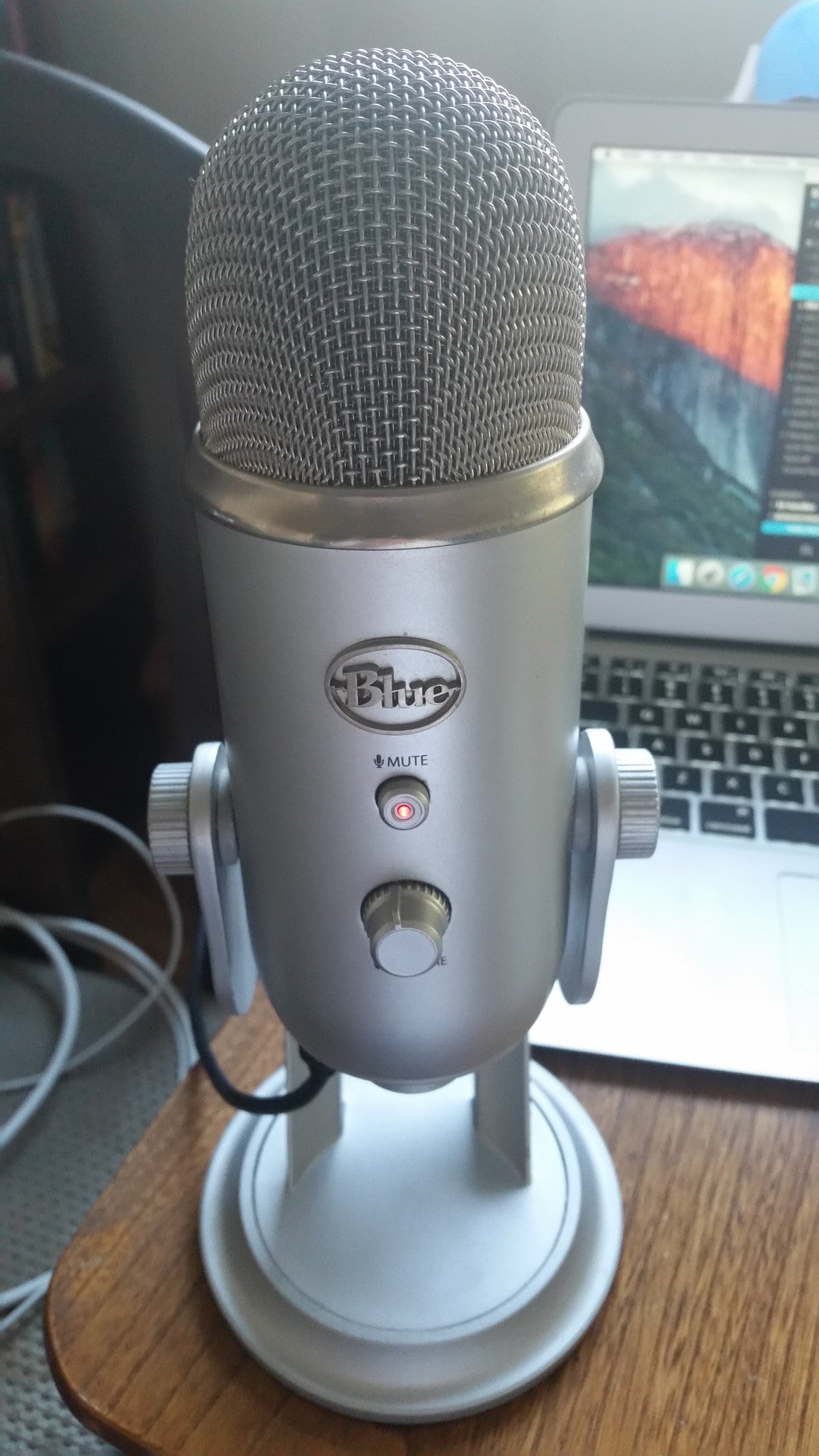 Grey Microphone with stand